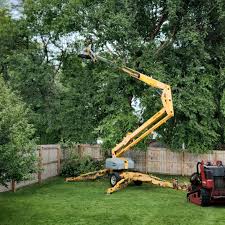 Landscape Design and Installation in Gladstone, OR
