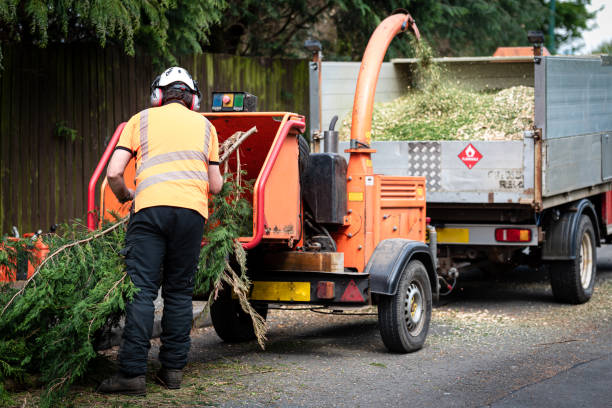 Artificial Turf Installation in Gladstone, OR